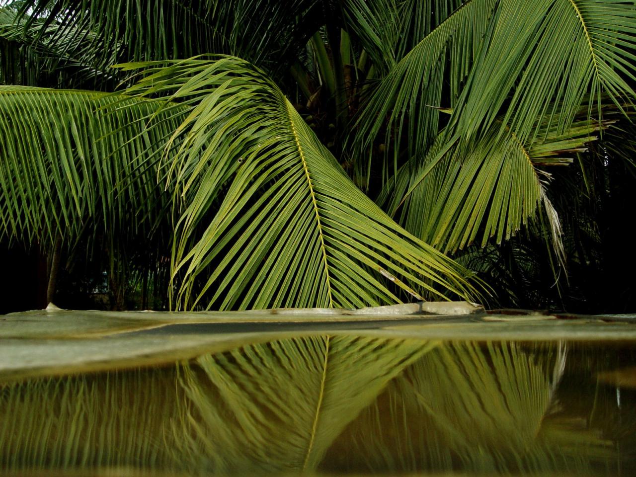 Blog Santé Toulouse